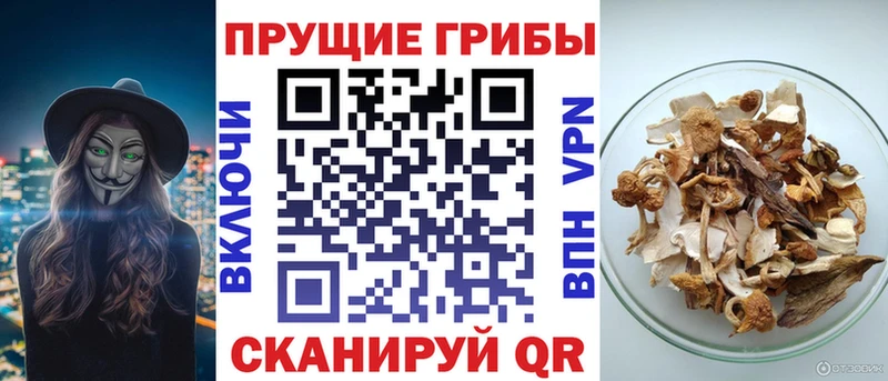 Галлюциногенные грибы MAGIC MUSHROOMS Малоархангельск